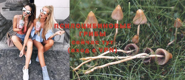героин Пересвет