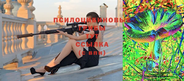 героин Пересвет